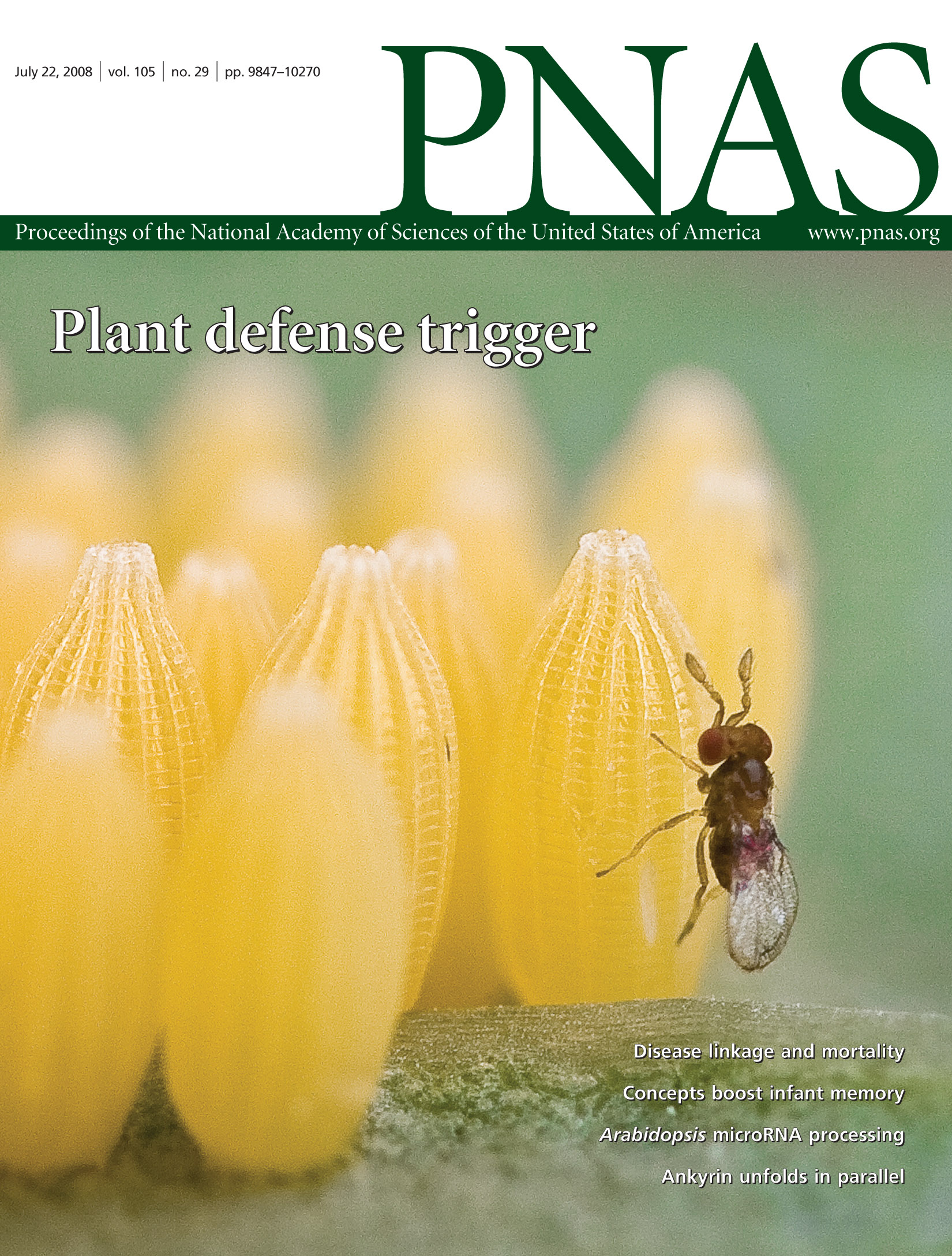 20081211-pnas_105_29-cover